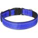 Shop Joytale Reflective Dog Collar for Large & XL Dogs - Royal Blue (Pack of 1) | Durable & Stylish - Buy Online on SooperMarket.com