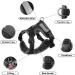NeuWook Black Cat Harness & Lead Set - Escape Proof, Adjustable Reflective Vest for Small Dogs & Cats - Buy Online on SooperMarket.com
