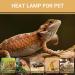 Shop Caldarax 100W Reptile Heat Lamp - Dual E27 UVA Daylight Terrarium Sunlamp for Turtles & Lizards | Perfect Basking Spot - International Shipping Available! - Buy Online on SooperMarket.com