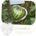 Gadpiparty Plant Vegetables Fruit for Outdoor Vegetable Pumpkin Watermelon - Buy Online on SooperMarket.com