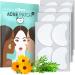 LitBear Acne Patches Extra Large Hydrocolloid Pimple Patches for Large Breakouts Zit and Blemish Large Acne Patches for Face Chin Back and Body with Tea Tree & Calendula Oil (20 Count) 20 Patches