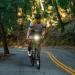 Light & Motion Vis 500 - 500 Lumens for Road & Trail Visibility | SafePulse for Daytime Safety | Lightweight & Reliable Design - Buy Online on SooperMarket.com