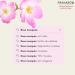Organic Rose Mosqueta Oil 50ml - Pranar for Muscular Relief | International Shipping - Buy Online on SooperMarket.com