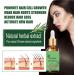 Trendyfave Rosemary Oil For Hair Growth Nourishes Hair Care Essential Oil Anti Frizz Hair Serum Ginger Hair Oil for Dry Damaged Hair | Repairs Smoothens Revitalizes Your Hair - for All Hair Types - Buy Online on SooperMarket.com