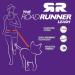 Ezydog Jogging Leash for Small & Medium Dogs - Reflective Elastic 210cm Bungee Jogging Leash - Perfect for Runners - Bubblegum Color - Buy Online on SooperMarket.com