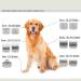 BestBomg Removable Blades for Dog Care - 5/8 Wide Toe Compatible with Heiniger/Moser Max45/Andis/Oster A5 1/32 Cutting Length - Buy Online on SooperMarket.com