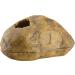 Exo Terra Snake Cave Medium - Naturalistic Hideout for Snakes - Buy Online on SooperMarket.com