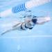 Kraken Aquatics Swim Snorkel - Adult Center Mount for Lap Swimming | Comfortable Silicone Mouthpiece | One-Way Purge Valve | Blue - Buy Online on SooperMarket.com