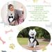Dog Tuxedo and Bandana Set Dogs Formal Tuxedo PET Wedding Party Suit Wedding Bow Tie Shirt for Wedding Christmas Birthday Costumes (Cute Style M) Cute Style M - Buy Online on SooperMarket.com