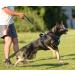 POPOT No-Pull Dog Harness - Reflective Pet Vest for Daily Training & Walking - Mint Blue (L) - Buy Online on SooperMarket.com