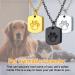 U7 Women's Cremation Urn Necklace - Cycle of Life & Celtic Knot Design Dog Footprints Wings Crucifix - Stainless Steel Pendant for Ashes - Ideal Memorial Jewelry - Buy Online on SooperMarket.com