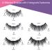 Magnetic Eyelashes and Eyeliner Kit - 5 Pairs of Custom Life & Party Styles - Natural Look with 5 Magnets - Easy to Apply and Remove - Buy Online on SooperMarket.com