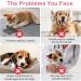 Buy Flying Paws Disposable Dog Diapers - Adjustable XS (20 Pack) for Dogs & Cats Perfect for Potty Training | International Shipping Available - Buy Online on SooperMarket.com