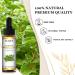EUQEE Marjoram Essential Oil 10ml Pure Natural Marjoram Oils Aromatherapy Essential Oils for Diffusers for Home Relax Humidifiers Marjoram 10.00 ml (Pack of 1) - Buy Online on SooperMarket.com