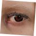 minkissy 10 Pairs Fake Eyelashes Russia Fiber 7d European and American - Buy Online on SooperMarket.com
