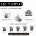 120PC Eyelash Cluster DIY Extension Kit - Natural Look C/D Curl Soft 10-16mm Lengths Applicator & Adhesive Included - Buy Online on SooperMarket.com