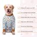 Yeapeeto Dog Recovery Suit 5XL Bear - Soft Neuter Shirt Cone Alternative for Large/Medium Dogs - Prevent Licking & Shedding - Surgical Onesie After Surgery - Buy Online on SooperMarket.com