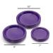 10 Inch Purple Plastic Plates - 50 Count - Round Disposable Plates for Dinner Parties and Special Occasions - Buy Online on SooperMarket.com