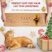 Ruby Road Wall Mounted Cat Scratching Post - Wooden Sisal Scratcher for Indoor Cats - Modern Cat Wall Furniture (22 x 5.7 inches) - Buy Online on SooperMarket.com