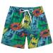 Fanient boys 3D printed funny swimming trunks fast drying beach clothing sport running bathing board short pants color graffiti 3 years