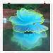 Duozoance Glow-in-the-Dark Artificial Coral Plants for Aquariums - Silicone Blue Decoration | 7.5x5x9cm - Buy Online on SooperMarket.com