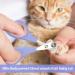 Cat Nail Clippers 1 Pcs Cat Claw Clipper Made of Stainless Steel Cat Nail Trimmer Nail Clippers for Cats with Positioning Hole Professional Cat Claw Clippers with Safety Guard.(Purple) - Buy Online on SooperMarket.com