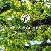 Yves Rocher Lily of the Valley Scent Shower Gel - Luxurious Floral Fragrance for Refreshing Showers | International Shipping Available - Buy Online on SooperMarket.com