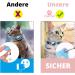 Croc-Cat Airtag Cat Neck Band - Safe Stylish Collar for Kittens & Small Dogs | Compatible with Apple Airtag | Anti-Strangulation Safety Buckle | Red - Buy Online on SooperMarket.com