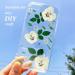 Dried White Pansy Flowers - 60 pcs for Resin Art, Jewelry, Candle Making & Crafts - Buy Online on SooperMarket.com