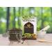 AOZA BIRJU MAHAVIR VaividangBai BidangVidangaEmbelia RibesFalse Black Pepper Natural 100 Gram (BMKB-186) - Buy Online on SooperMarket.com