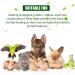4-Piece Pet Pill Shooter Syringe Dispenser Set for Cats Dogs - Safe Reusable Medical Feeding Tool in Blue, Green, Red & White - Buy Online on SooperMarket.com