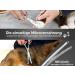 Buy Exclusive 16cm Fur & Paw Scissors - Curved Dog Hair Scissors for Grooming - Buy Online on SooperMarket.com