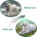 LIVEKEY 2-in-1 Pet Hair Dryer & Slicker Brush | Adjustable 2 Temperatures | For Small & Medium Dogs/Cats - Buy Online on SooperMarket.com