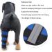 Dog Right Rear Leg Hock Brace - Neoprene Material Prevents Injuries Provides Stability with Support Strip Reflective Strip for Dogs (S) - Buy Online on SooperMarket.com