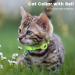 Airtag Cat Collar with Holder & Bell | Reflective Safety Neck Band for Kittens & Puppies - Green - Buy Online on SooperMarket.com