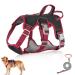 Multi-purpose dog harness with a leash set outbreak-proof anti-train dog harness anti-train dishes dog safety dishes dog harness Small dogs for small medium-sized dogs (black l) l black