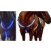 LED Horse Breastplate Collar-Best High Visibility for Horseback Riding-Adjustable-Sturdy and Comfortable Equestrian Safety Gear-for Night Horse Riding (Blue) - Buy Online on SooperMarket.com