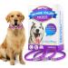 Bieyoc Calming Collar for Dogs 3 Packs Dog Anxiety Relief Adjustable Calming Collar for dogs Separation Anxiety Relief Stress 60 Days Long Lasting Calming Effect for Large Middle and Small Dogs