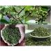 Whole Szechuan Green Peppercorns Premium Sichuan Peppercorns Wild Ma Pepper Chinese Seasoning Spicy and Delicious Recipes Jin Yang Qing Hua Jiao 50G - Buy Online on SooperMarket.com