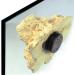 Tunze Coral Rack nano - Buy Online on SooperMarket.com