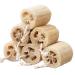 Natural Loofah Sponge Shower Exfoliating Bath Body Scrubber - 6pcs - Buy Online on SooperMarket.com