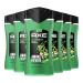 AX 3-in-1 Shower Gel & Shampoo for Men | Anti-Hangover Freshness | Dermatologically Tested | 6x250ml Fruity Pack - Buy Online on SooperMarket.com