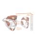 Dr. Dennis Gross DRx SpectraLite Dpl FaceWare Pro: Smooths Full Face Fine Lines and Wrinkles, Firms Skin, Prevents Acne Flare-Ups, and Reduces Redness and Irritation (White) White FaceWare