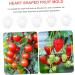 Gogogmee 5pcs Fruit Shaping Mold Plastic Fruit Cucumber Shaping Tool Vegetable Shaping Tool Garden Tools - Buy Online on SooperMarket.com