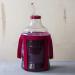 Buy Browin 400305 Yeast Restart - 22g | Best Secondary Fermentation Yeast for Sweet Wines | International Shipping Available - Buy Online on SooperMarket.com