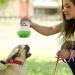 19-Piece Dog Toy Set - Durable Cornitoo Rope Balls & Chew Toys for Small Medium & Large Dogs - Interactive & Tooth Training - Buy Online on SooperMarket.com