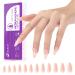 Gelike ec 240PCS Colored Gel X Nail Tips Medium Almond 2 in 1 X-coat Tips with Top Primer Cover - One Step Nail Tip in 12 Sizes for Nail Extensions Salon Home DIY Sheer Nude 1-240pcs-Sheer Nude