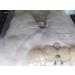 Newborn Baby Cartoon Bear Snowsuit Winter Coat 6-9 Months | Fleece Hooded Romper Jumpsuit - Khaki Dog - Buy Online on SooperMarket.com