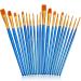 JOINREY Paint Brushes Set 20 Pcs Round Pointed Tip Paintbrushes Nylon Hair Artist Acrylic Paint Brushes for Acrylic Oil Watercolor  Face Nail Art  Miniature Detailing and Rock Painting (Blue)
