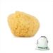 AROURA Natural Sea Wool Sponge | Shower & Bath Sponge | Natural Loofah | Sea Sponge for Body Care | Sea Sponge for Facial Cleansing & Body Washing | Natural Sponge Size 3 (11-12 CM)